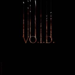 Shadowland (RUS) : VO.I.D. (Voice Inside Darkness)